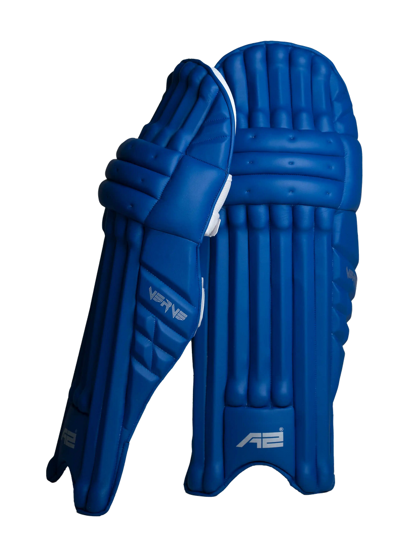 Cricket Batting Pads - Blue