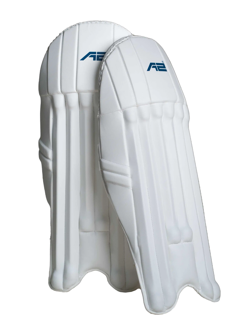 Cricket Keeping Pad
