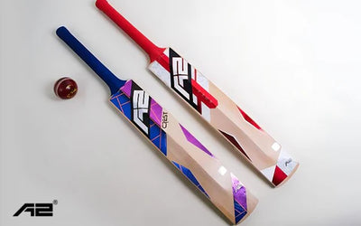 From Practice to Pro: How to Pick Between Kashmir and English Willow Cricket Bats