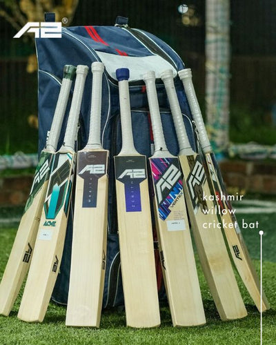 Unveiling the Differences: Kashmir Willow vs. English Willow Cricket Bats