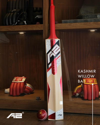 Kashmir Willow vs. English Willow Bats: What You Need to Know