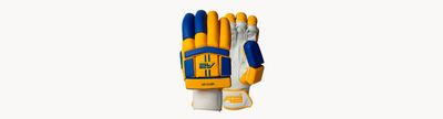 A2 Cricket: Premium Cricket Kits and High-Performance Batting Gloves for Every Player