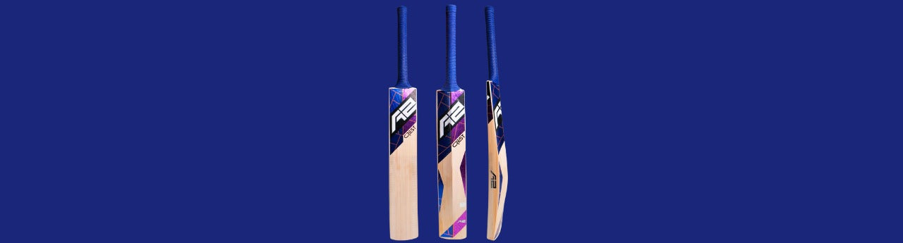 kashmir willow cricket bats