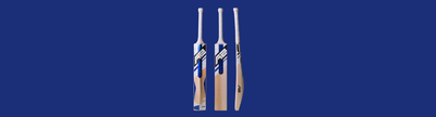 Premium Performance with a Kashmir Willow Bat for Every Cricketer