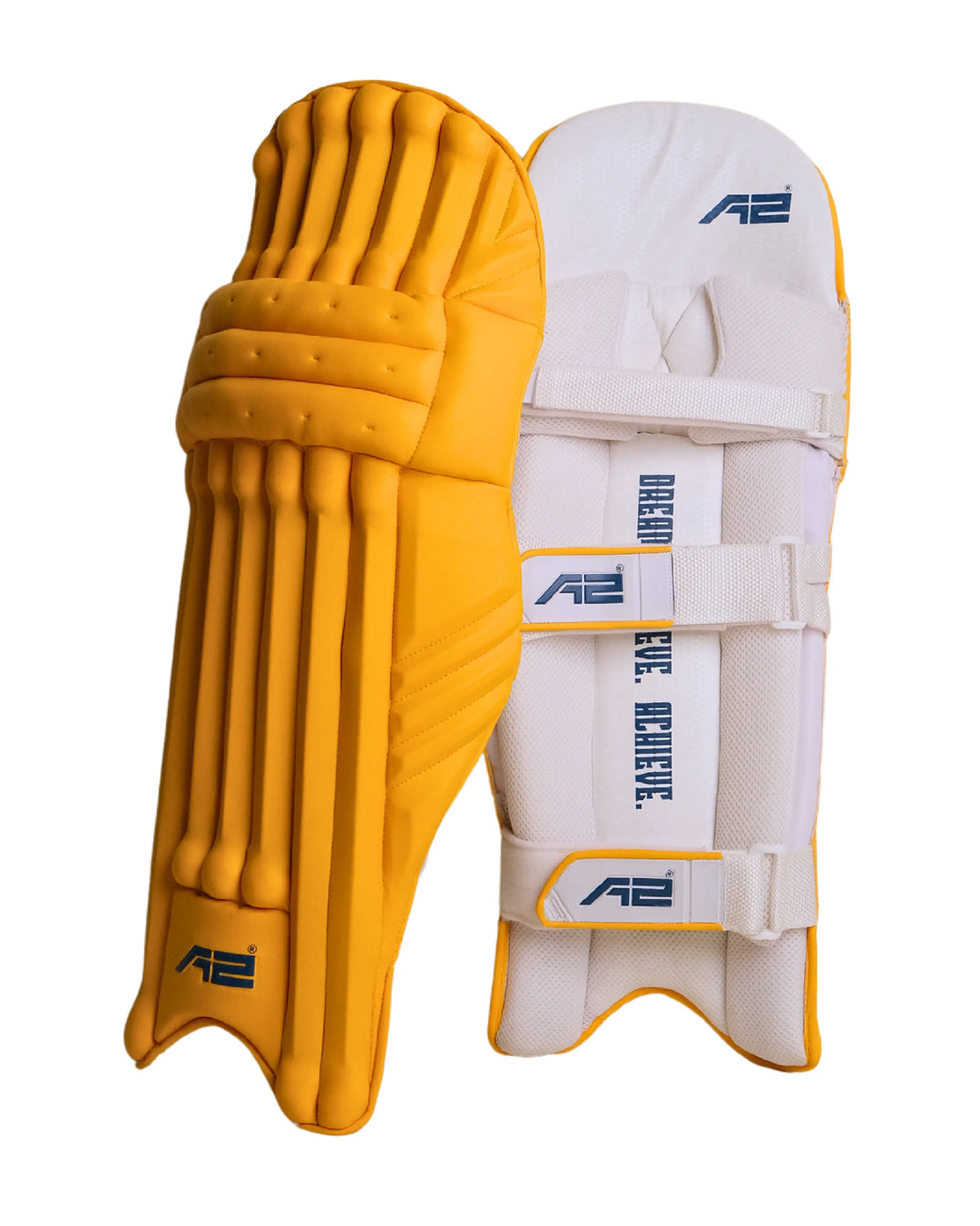 CricketBattingPads-