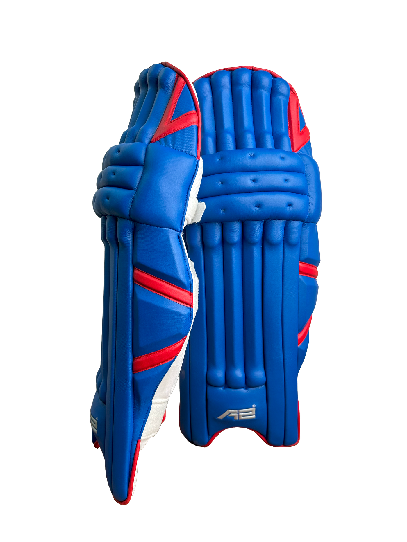 Cricket Batting Pads - Blue & Red