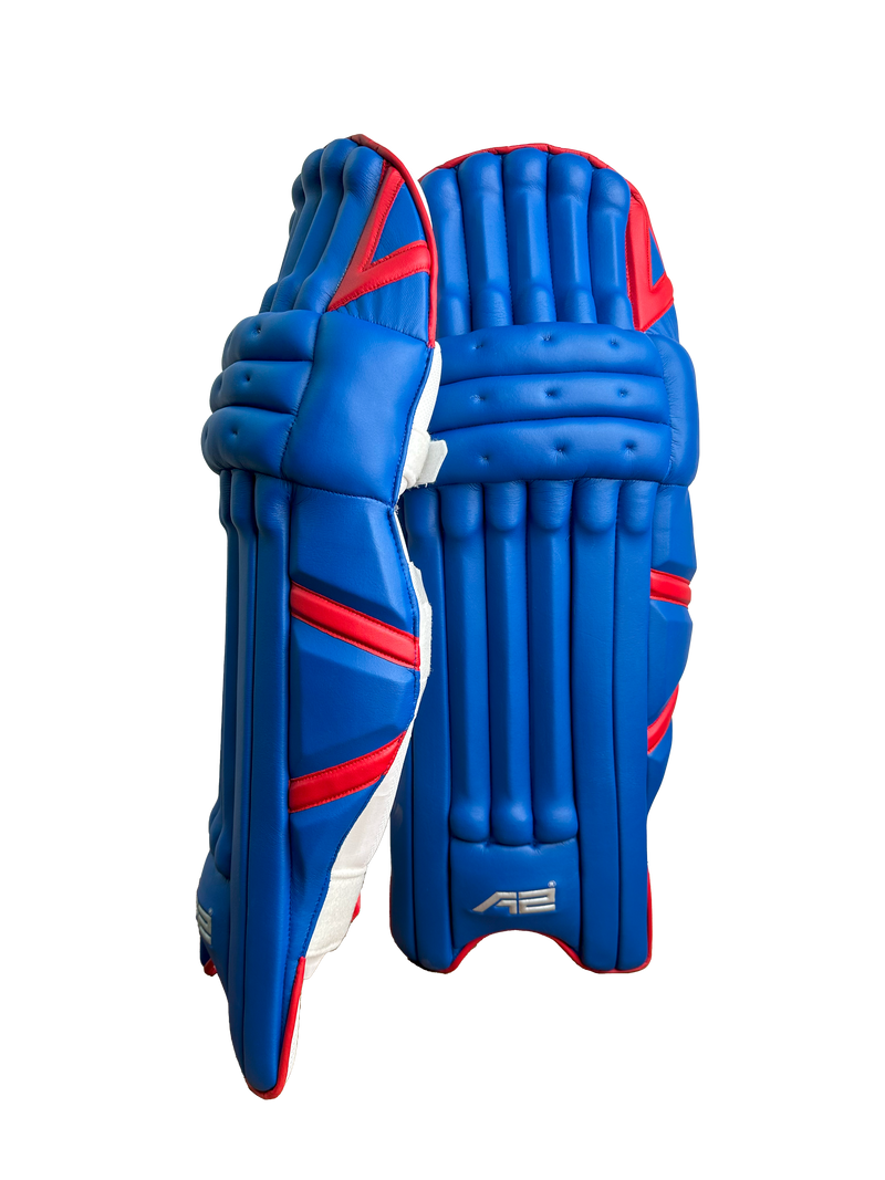 Cricket Batting Pads - Blue & Red