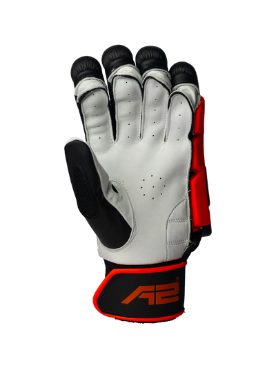 Cricket Batting Gloves - Black & Red