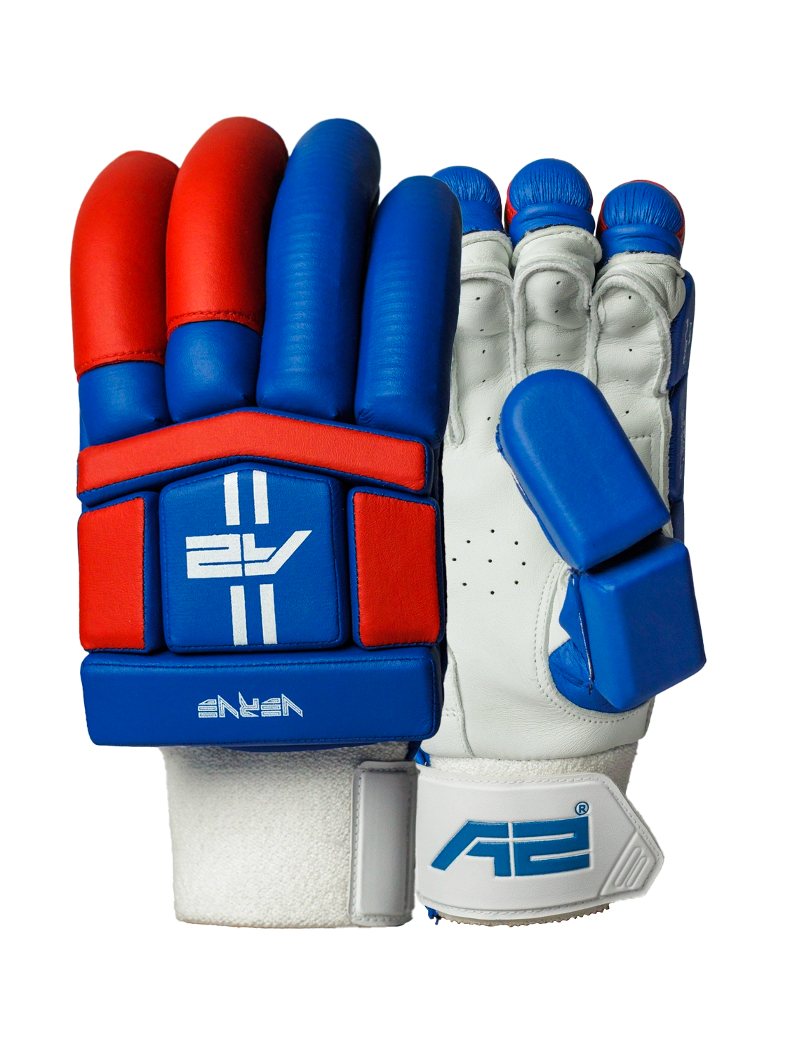 Cricket Batting Gloves - Blue & Red